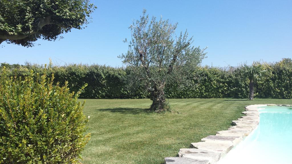 Bed and Breakfast Mas Saint Julien Cavaillon Esterno foto