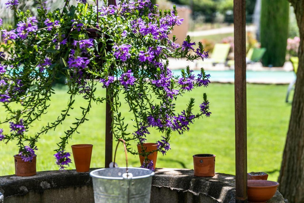Bed and Breakfast Mas Saint Julien Cavaillon Esterno foto
